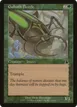 Goliath Beetle #107