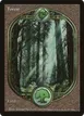 Forest #88
