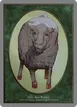 Sheep #5