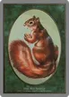 Squirrel #6