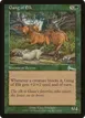 Gang of Elk #102