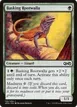 Basking Rootwalla #156