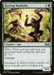 Hooting Mandrills #170