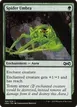 Spider Umbra #184