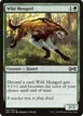 Wild Mongrel #194