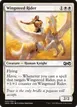 Wingsteed Rider #43