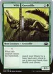 Wild Crocodile #74