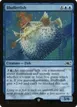Blufferfish #325