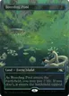 Breeding Pool #537