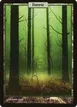 Forest #140