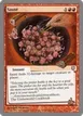 Sauté #88