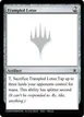Trampled Lotus #RA12b