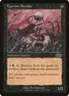 Carrion Beetles #122