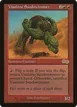 Viashino Sandswimmer #225
