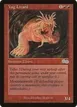 Vug Lizard #227