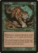 Cave Tiger #241