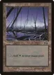 Swamp #340