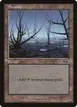 Swamp #341