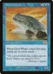 Great Whale #77