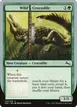 Wild Crocodile #125