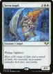 Serra Angel #14