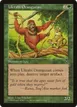 Uktabi Orangutan #123
