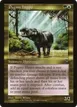 Pygmy Hippo #133