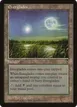 Everglades #162