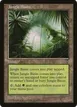 Jungle Basin #164
