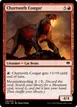 Chartooth Cougar #155