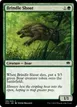 Brindle Shoat #199