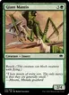 Giant Mantis #213