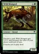 Wild Mongrel #239