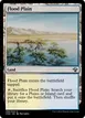 Flood Plain #296