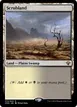 Scrubland #313