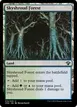 Skyshroud Forest #315