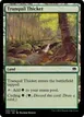 Tranquil Thicket #320