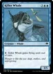 Killer Whale #76