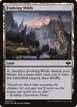 Evolving Wilds #263