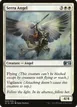 Serra Angel #3