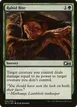 Rabid Bite #26
