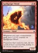 Spellgorger Weird #145