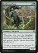 Evolution Sage #159