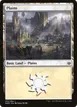 Plains #250