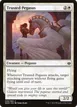 Trusted Pegasus #36