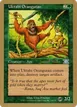Uktabi Orangutan #jk260sb