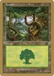 Forest #jk347