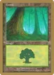 Forest #jt347a