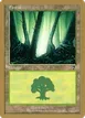 Forest #rl330
