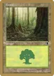 Forest #rl348